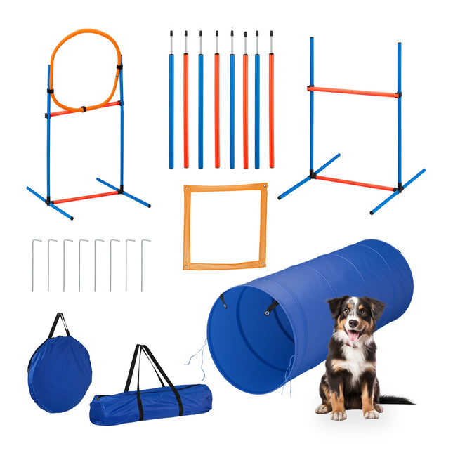Parcours d'agilité pour chiens avec tunnel, haies et slalom