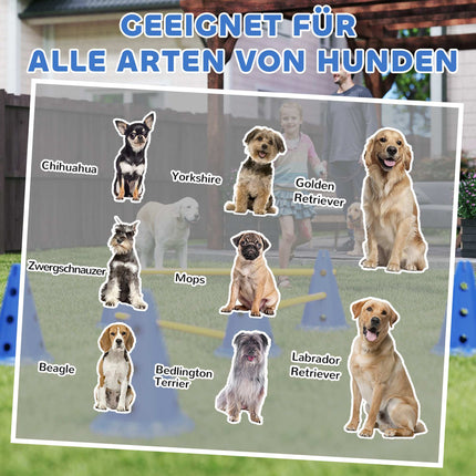 Hunde-Agility-Set – 3-teiliges Trainingsset mit 6 Hütchen, 3 Hürden