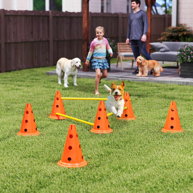 Kit d'agilité pour chien - Kit d'entraînement 3 pièces avec 6 cônes et un sac