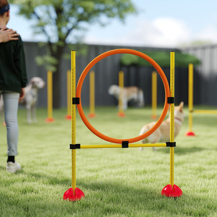 Hund Agility Trainingsset, 4-teilig, verstellbar