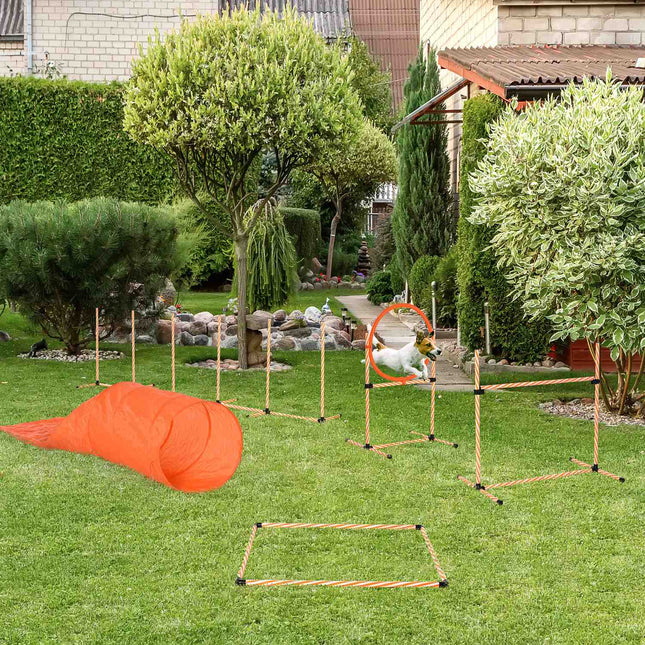 Ensemble D'Agilité Pour Chien Ensemble De Dressage Pour Chien Avec Tunnel De Dressage Pour Animaux De Compagnie Comprend Un Sac Facile À Transporter Plastique Polyester Orange + Blanc