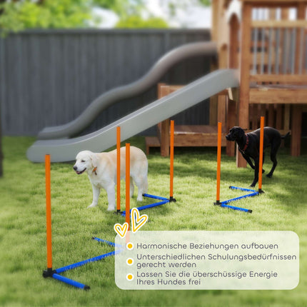 Hund Agility Set, tragbar mit verstellbaren Slalomstangen