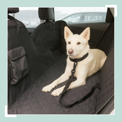 Ceinture de sécurité pour chien avec amortisseur, longueur réglable