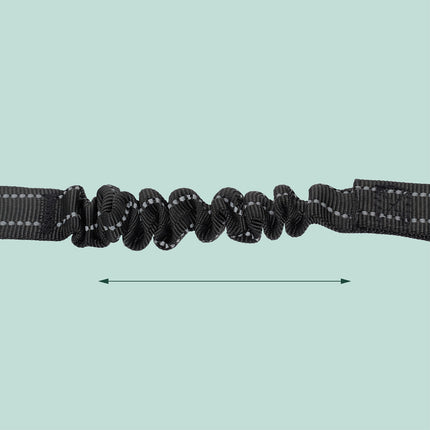 Ceinture de sécurité pour chien avec amortisseur, longueur réglable
