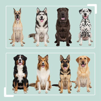 Hundefutterstation mit Aufbewahrung und erhöhten Näpfen