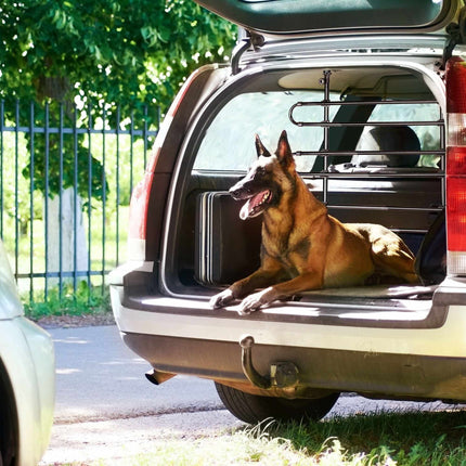 Hundetrenngitter
