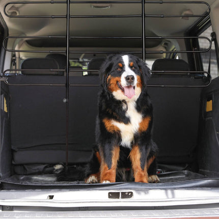 Hundetrenngitter