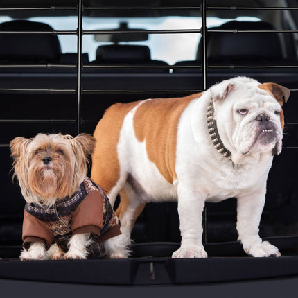Hundetrenngitter