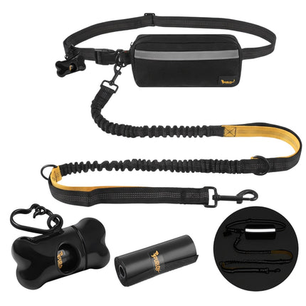 Ceinture de course pour chien avec laisse, rembourrée et réfléchissante