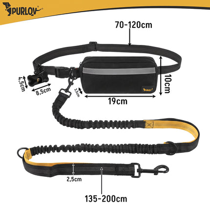 Ceinture de course pour chien avec laisse, rembourrée et réfléchissante