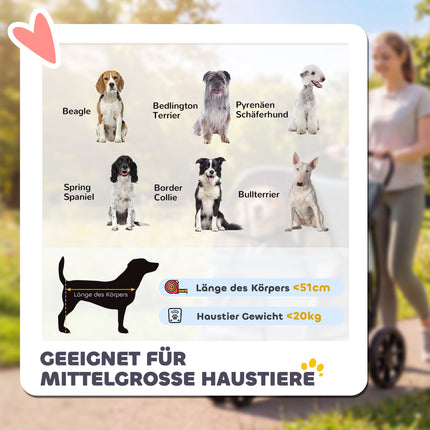 Hundebuggy mit geländegängigen Rädern, faltbar, 20 kg Tragkraft