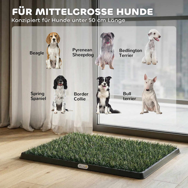 Toilettes pour chien avec gazon artificiel lavable, 76 x 50,5 cm