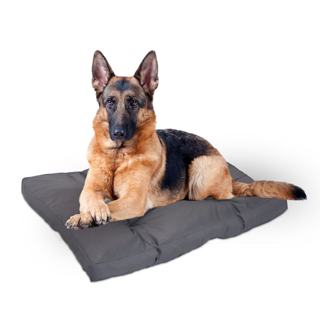 Panier pour chien gris