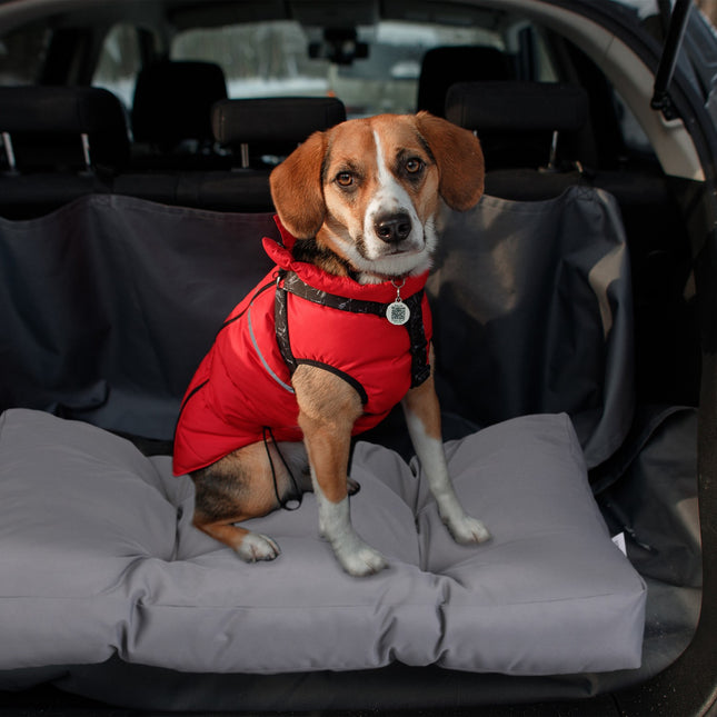Panier pour chien gris