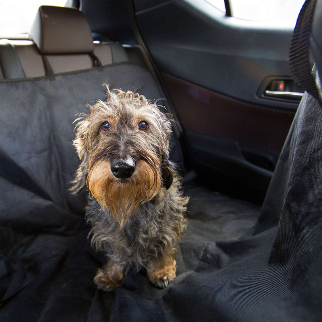 Couverture pour chien pour voiture