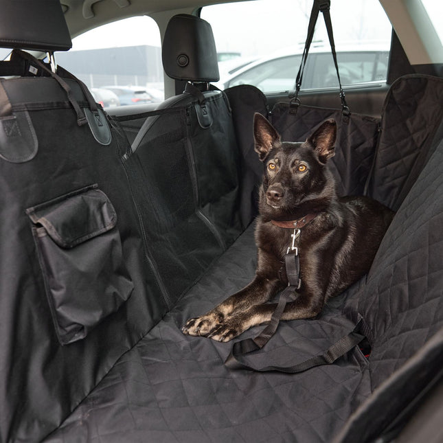 Couverture pour chien sur le siège arrière de la voiture