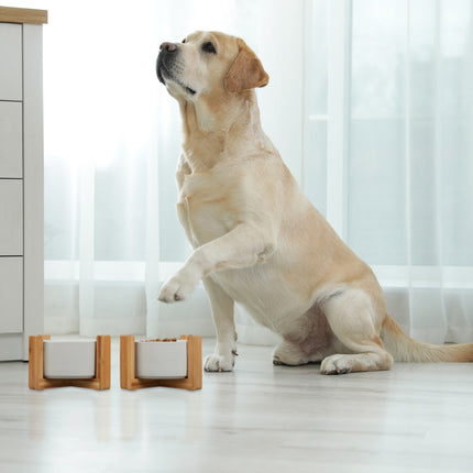 Gamelle pour chien, lot de 2