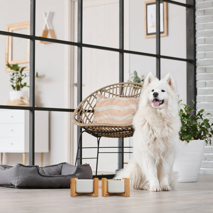 Gamelle pour chien, lot de 2