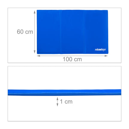 Tapis pour chien bleu