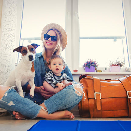Tapis pour chien bleu