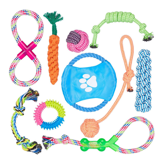 Ensemble de jouets pour chien 10 pièces