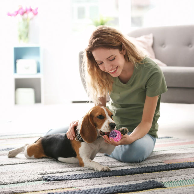Ensemble de jouets pour chien 10 pièces