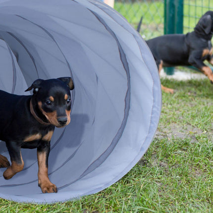 Tunnel pour chien agility 2m