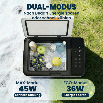 Elektrische Kühlbox 30L, -20C bis 20C, App-Steuerung
