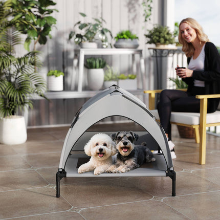 Erhöhtes Hundebett mit Überdachung, atmungsaktives Netz, tragbar