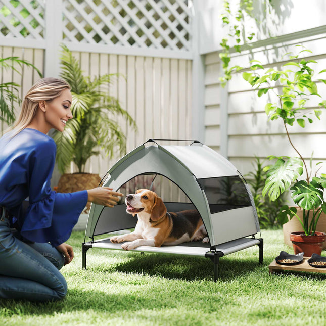 Lit surélevé pour chien avec auvent, maille respirante, portable