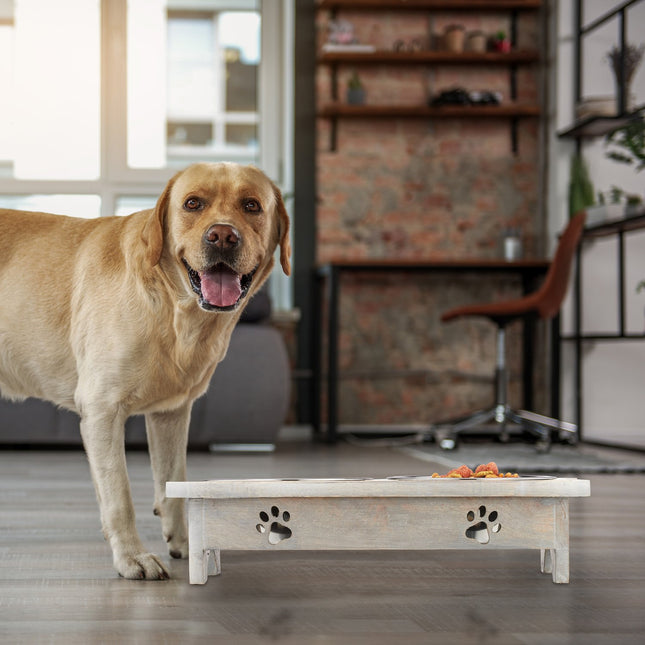 Mangeoire surélevée pour chien avec support en forme d'os, gamelles en acier inoxydable