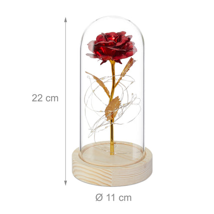 Ewige Rose im Glas