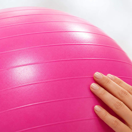 Exercise Ball 65 cm with Stand, Resistance Bands and Pump, Pink