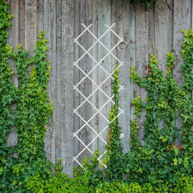 Ausziehbares Pflanzengitter-Set, 180x60 cm, 3er-Pack