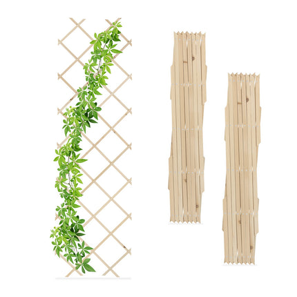 Ensemble de treillis extensibles pour plantes, 180 x 60 cm, lot de 3