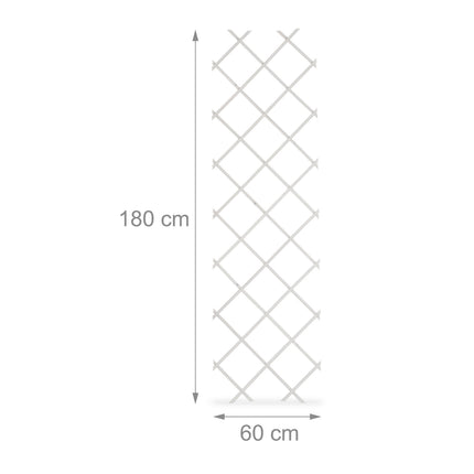 Ensemble de treillis extensibles pour plantes, 180 x 60 cm, lot de 3