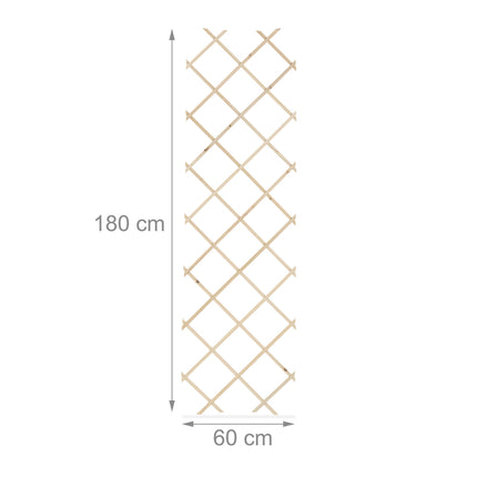 Ensemble de treillis extensibles pour plantes, 180 x 60 cm, lot de 3