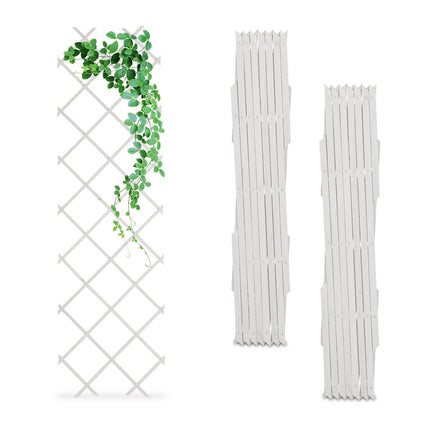 Ensemble de treillis extensibles pour plantes, 180 x 60 cm, lot de 3