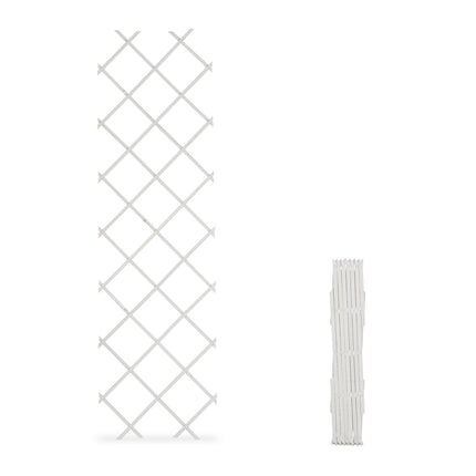 Ensemble de treillis extensibles pour plantes, 180 x 60 cm, lot de 3