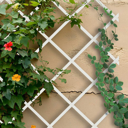 Ensemble de treillis extensibles pour plantes, 180 x 90 cm, lot de 3