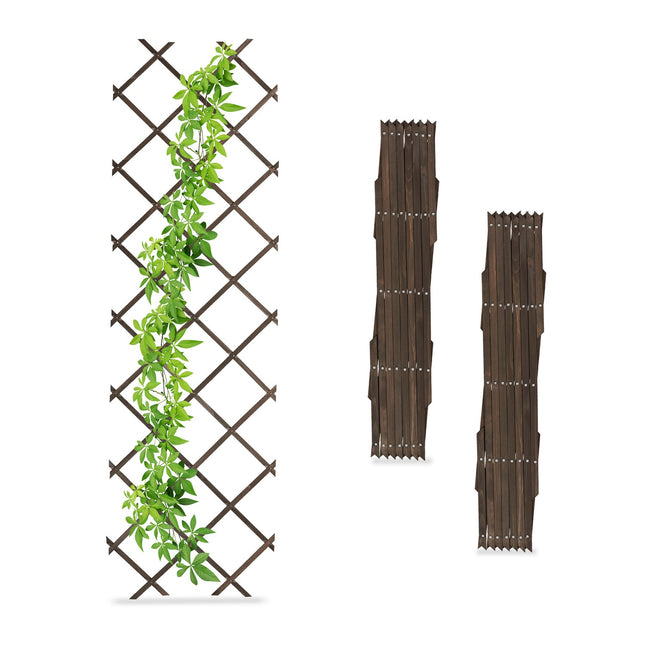 Rankgitter-Set ausziehbar, 3 Stück, 180x60 cm