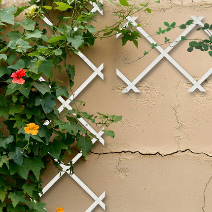 Ensemble de treillis extensibles en bois pour plantes grimpantes