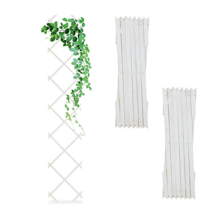 Ensemble de treillis extensibles en bois pour plantes grimpantes