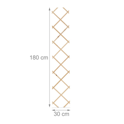 Ensemble de treillis extensibles en bois pour plantes grimpantes