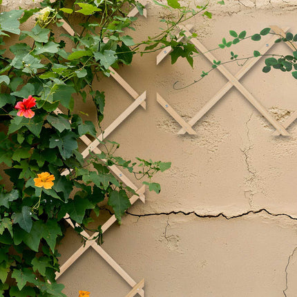 Ensemble de treillis extensibles en bois pour plantes grimpantes