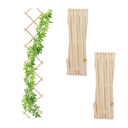 Ensemble de treillis extensibles en bois pour plantes grimpantes