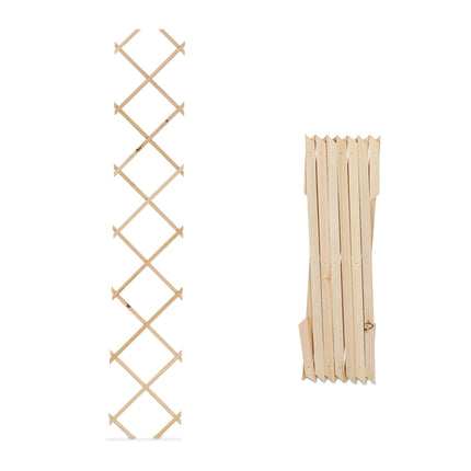 Ensemble de treillis extensibles en bois pour plantes grimpantes