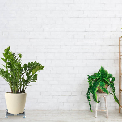 Rouleau à plantes carré extensible