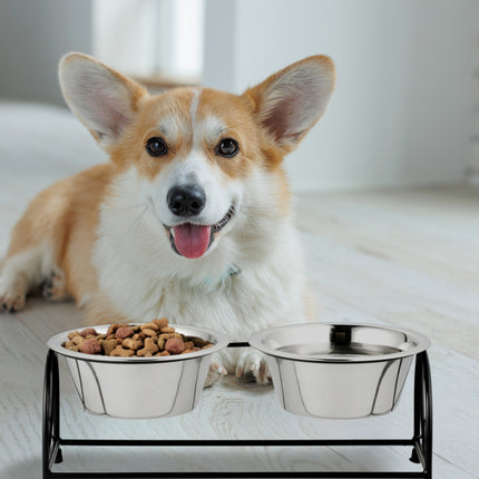 Station d'alimentation pour chiens