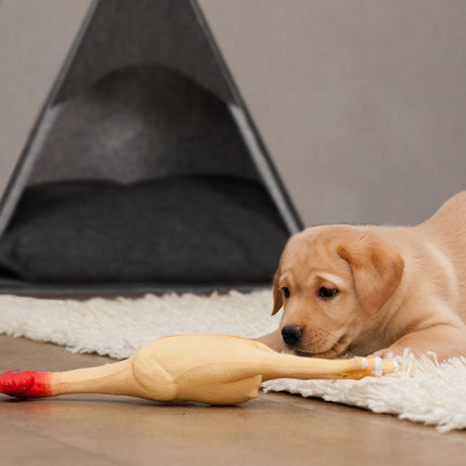 Hundebett aus Filz